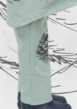 Load image into Gallery viewer, PINE CONE Softshell Unisex Trousers (size 86 - 98)
